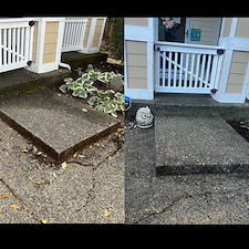 House-Wash-in-Snohomish-WA 1